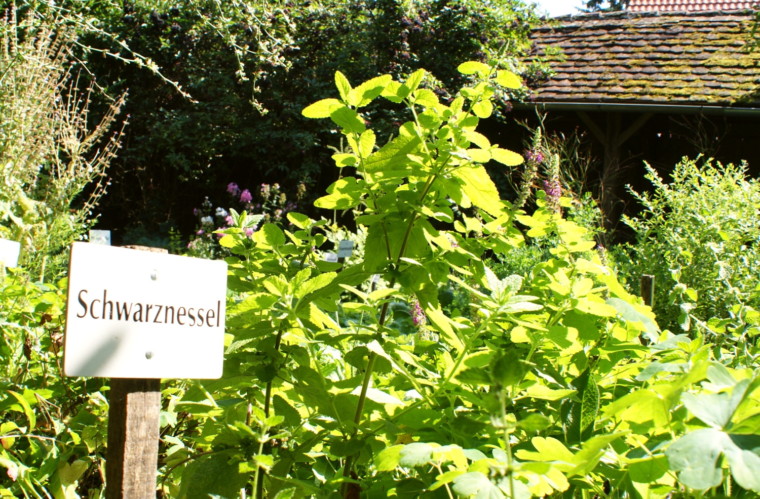 Kräutergarten