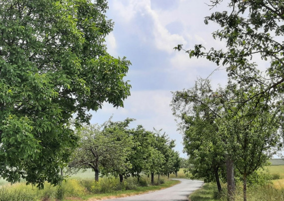 Museumsweg &quot;Alte Reichsstraße&quot;